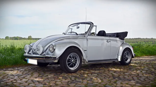 รถเก๋งโฟล์คสวาเกนสีเทาเปิดประทุนจอดอยู่ข้างถนนใต้ร่มเงาไม้ในเวลากลางวัน 4K วอลเปเปอร์