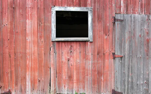 szare drewniane drzwi, okno, stodola, tekstura, farba, ziarno, rdza tlo pobierz