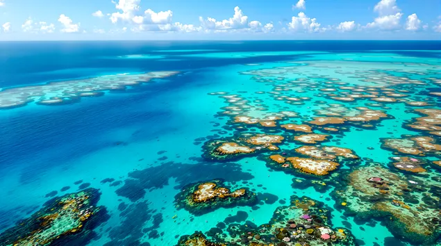 radharc on aer ar an sceir mhor-bhacainneach: tirdhreach aigein thropaiceach iontach ioslodail