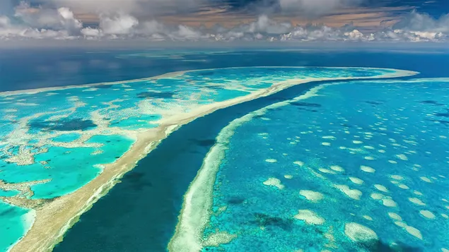 Muat turun Great Barrier Reef, Australia