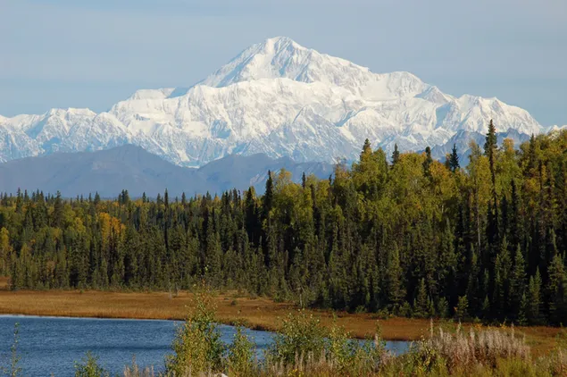 groot denali nasionale park en mount mckinley-uitsig aflaai