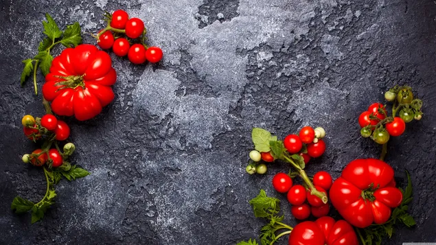 Gran presentació de tomàquets grans i petits tomàquets sobre fons negre 4K fons de pantalla