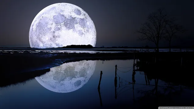 Pamje e mrekullueshme e hënës së plotë e reflektuar në liqen HD sfond