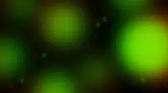 Tapeta zelené světlušky 4K