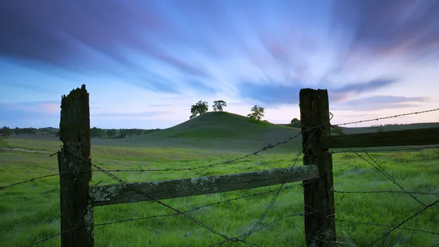 green green grass of all download