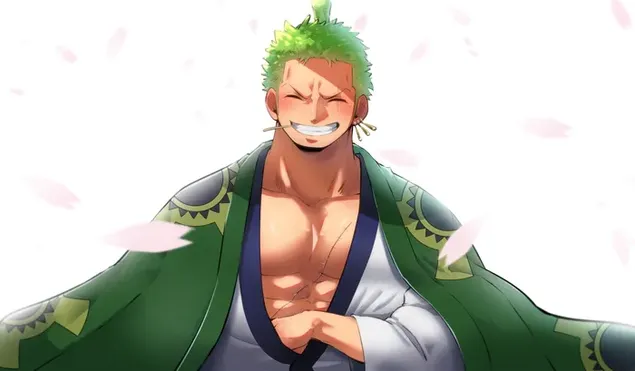 Grünhaarige lächelnde männliche Figur aus der Manga-Literaturserie One Piece herunterladen