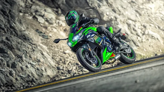 緑のカワサキのオートバイとヘルメットをかぶったバイカーが、岩や土のそばのアスファルト道路を走行