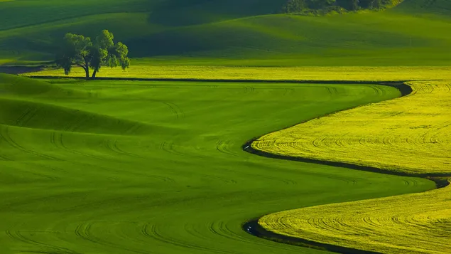 Green landscape view