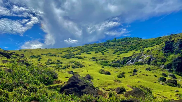 Zelena gora s skalami okoli 4K ozadje