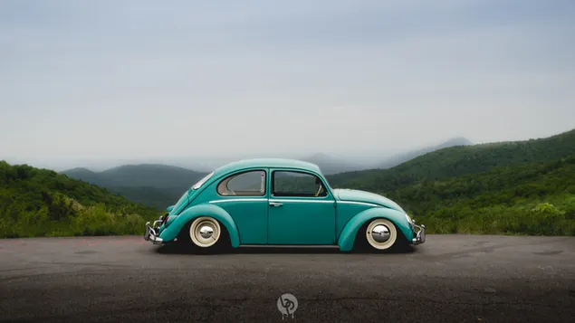 Coupe volkswagen escarabajo verde bajo un cielo gris