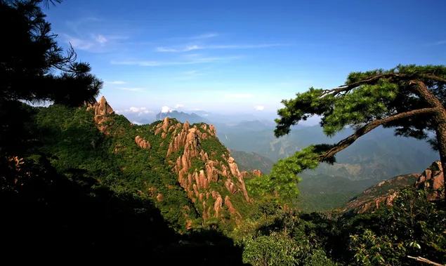 Verdor en las montañas