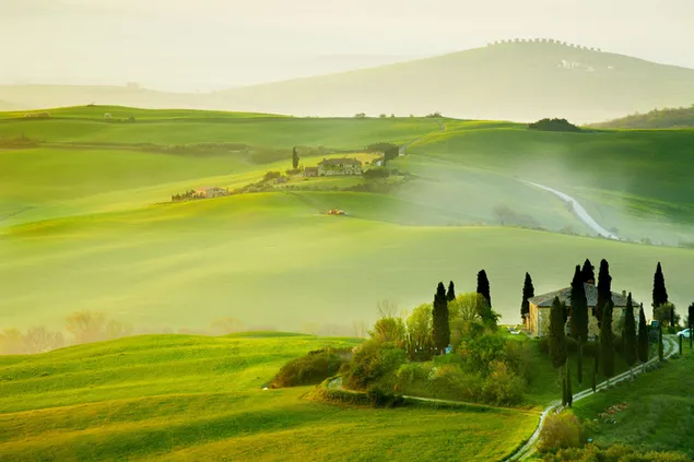 Greenery view of landscape download
