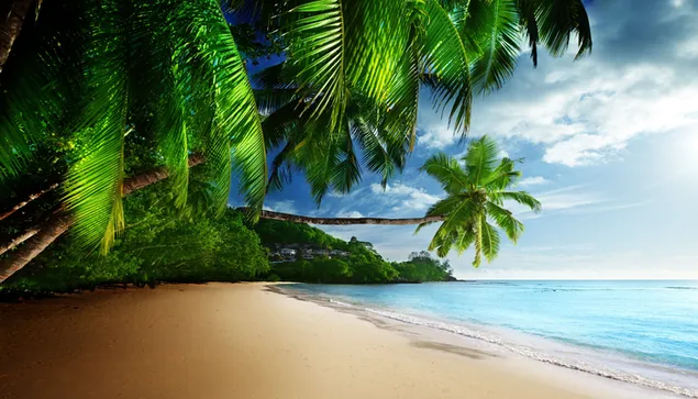 Groene palmbomen en golven die in de zee beuken