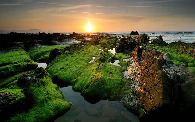 Groene rotsen landschap