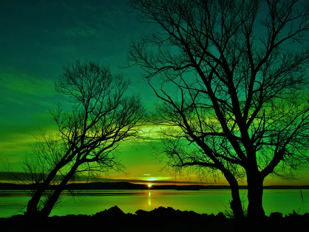 Groene zonsondergang aan het meer