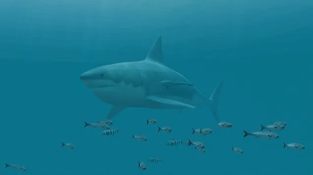 Grote witte haai - olieverf op canvas