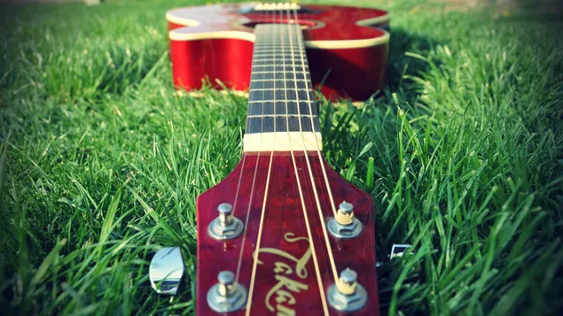 guitarra en la hierba