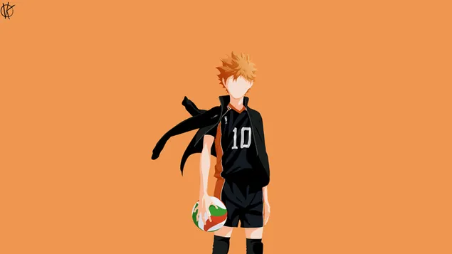 haikyu!! -shoyo hinata scarica