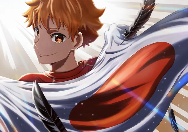 haikyu!! - shoyo hinata, scarica