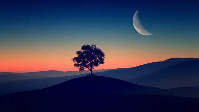 Half moon view silhouette mountains and tree 4K wallpaper