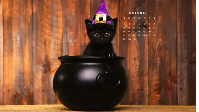 ハロウィーン、大釜の中に紫色の魔女帽子を持つかわいい黒い子猫 4K 壁紙