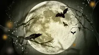 Luna de Halloween HD imagine de fundal
