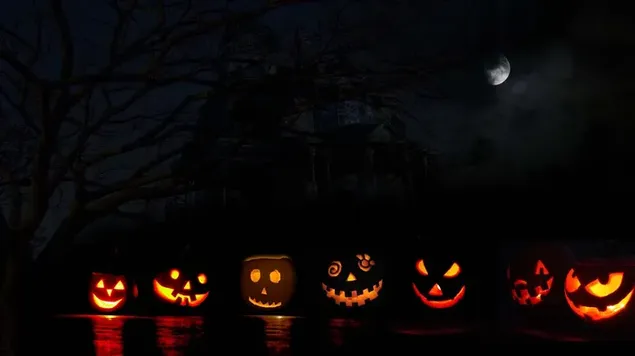 Halloween Pumpkin Brothers HD wallpaper