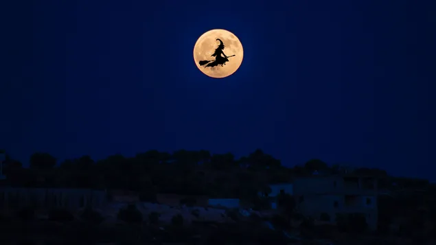 Halloween - Phù thủy đi chơi tải xuống