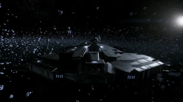 Hamerkop - sterburger 4K muurpapier