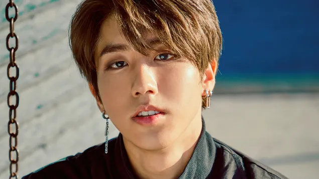 han | stray kids (kpop boy band) download