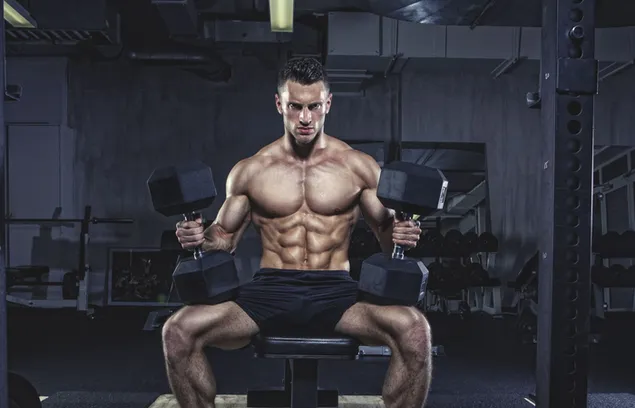 Handsome bodybuilder sitting down working out with dumbbells HD wallpaper