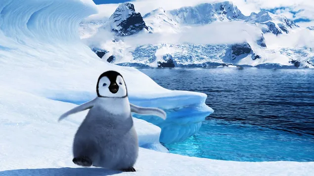 Pingüino bebé feliz en las montañas nevadas y la costa del océano 2K fondo de pantalla