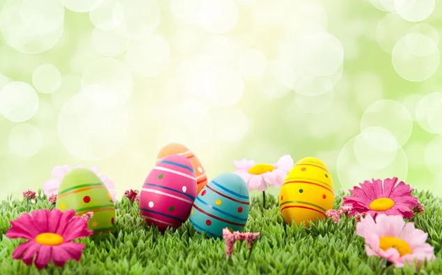 Happy Easter Eggs Color