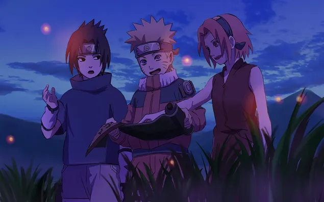 Fijne avond Naruto en zijn vrienden op hun nieuwe missie