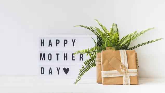 Frohe Muttertagsgrüße mit Grünpflanzen und Geschenken 4K Hintergrundbild