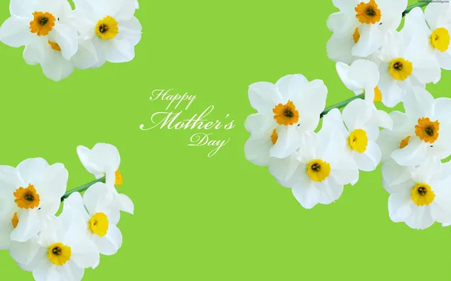 Happy Mother's Day greetings with vibrant flowers and green wallpaper background