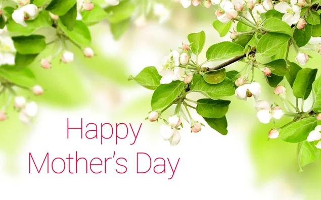 Selamat Hari Ibu Bunga Catatan