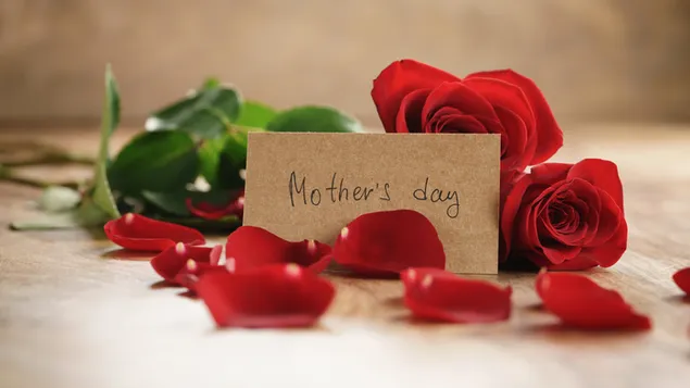 Happy Mother's Day Note Gift Red Rose