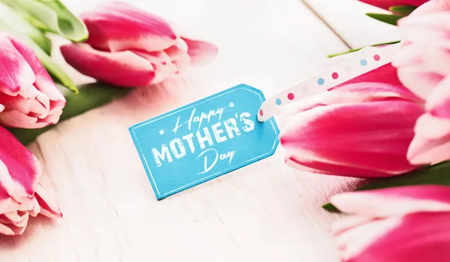 Hình nền Chúc mừng ngày của mẹ Ghi chú màu hồng Tulip 4K