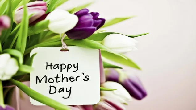 Hình nền Chúc mừng ngày của mẹ Ghi chú hoa Tulip tím và trắng HD