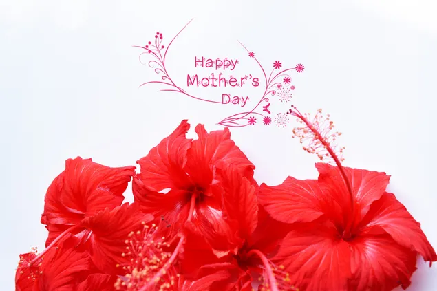 Feliz Día de la Madre Nota Flor Roja 4K fondo de pantalla