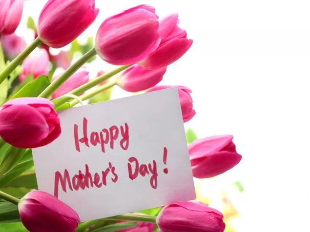 Gelukkige moederdag roze tulpen 2K achtergrond