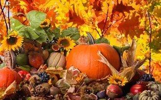 Happy Thanksgiving Day HD wallpaper