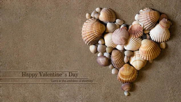 Happy Valentine's Day with a Heart-Shaped Sea Shells HD wallpaper