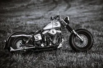 cernobila nostalgie harley davidson stahnout
