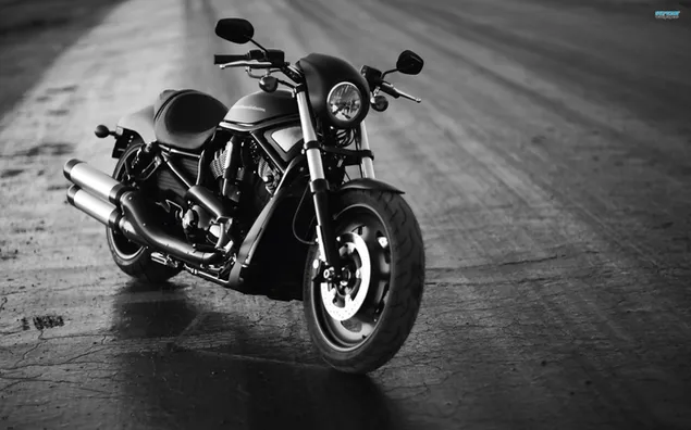 Harley-Davidson sort og hvid 2K tapet