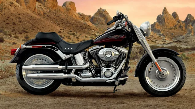 Harley-Davidson gordo 2012