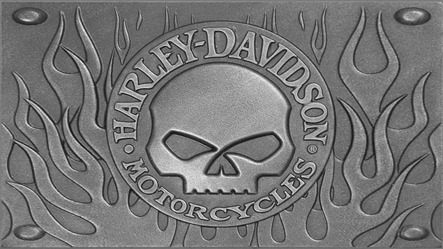 Harley Davidson Zilveren Reliëf Ambleem