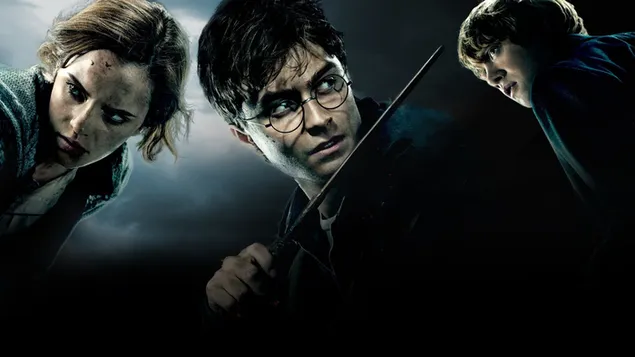 Harry Potter and Friends HD wallpaper download
