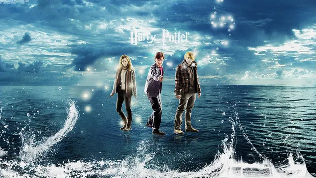 Harry Potter en Hermonie Granger, Run Voldemorf